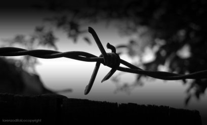barbed_wire_concentration_camp_by_quelfamosoporco